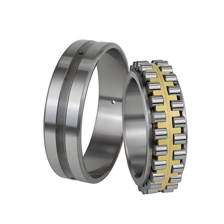 Double Row Cylindrical Roller Bearing